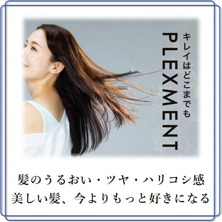 プレックスメント