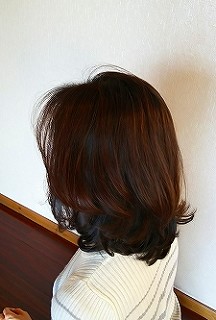 ヘアギャラリー